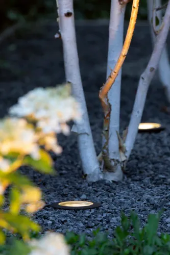 In-Lite Nero LED grondspot 12V -Dark - Ø 116mm-