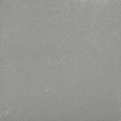 Tremico 6cm 60x60cm Grijs-Betontegel met een deklaag