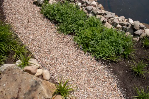 Schelpen Schoongewassen MB (350kg)-