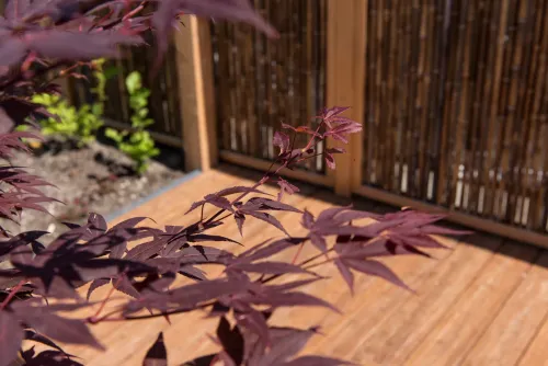 Bamboescherm zwarte bamboestokken 186x186 =cm-