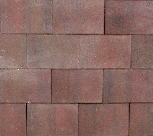 Tremico Oud Bont 20x30x6cm-Betontegel met een deklaag