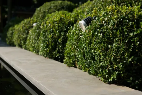 Bluestone Vijverrand 100x30x3 Primo-