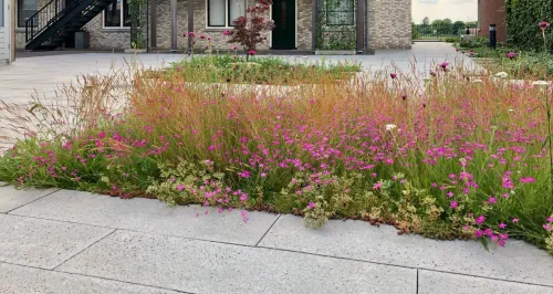 Schellevis Oudhollands Grijs Tegel 200x50x10-