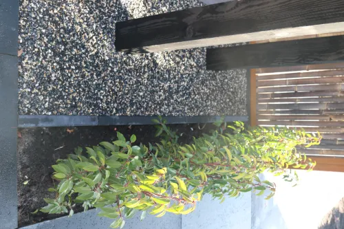 Natural Blend Pebbles 5-8mm MB (0