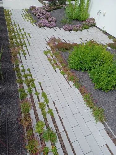 Hydro Lineo 30x10x8 nok 40 grijs-Diverse legpatronen mogelijk