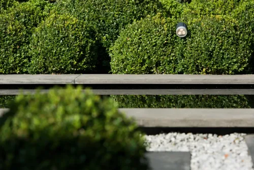 Bluestone Vijverrand 100x30x3 Primo-