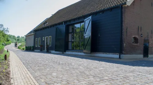 Turks Basalt 8x10cm Gs-