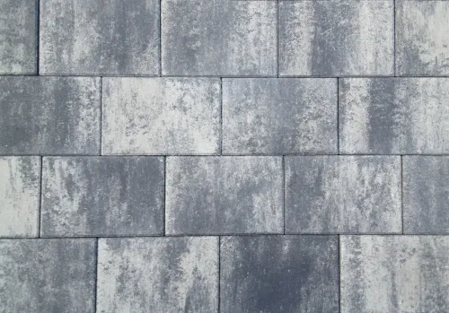 Tremico 6cm 20x30cm Zeeuws bont-Betontegel met een deklaag