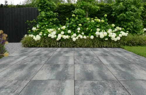 Nova Coral 60x60x4cm-