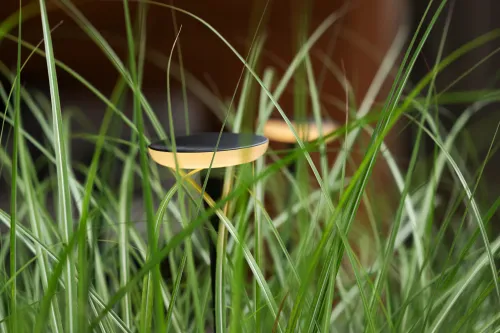 In-Lite Sway Light Head Black Solitary-