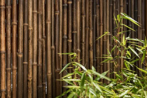 Bamboescherm zwarte bamboestokken 186x186 =cm-