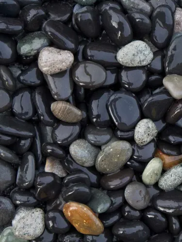 Beach Pebbles Antraciet 8-16mm BB (1m3 1800kg)-Ter decoratie van de vijver
