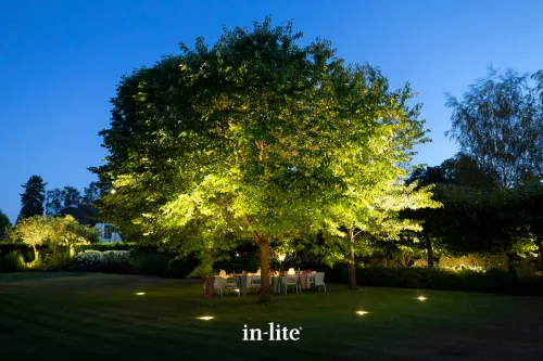 In-Lite Big Nero 12V - Dark-