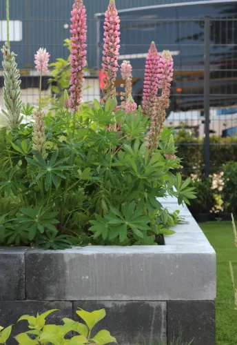 Wallblock Old Smook 15x15x30cm-