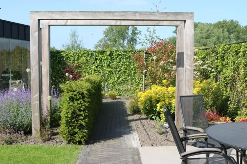 0x300cm-Onbehandeld Douglas