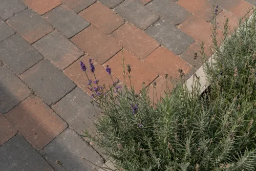 Tambour 20x30x6 brons-Stabiel en grip