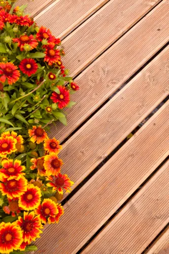 5x400-Gedroogd en geschaafd