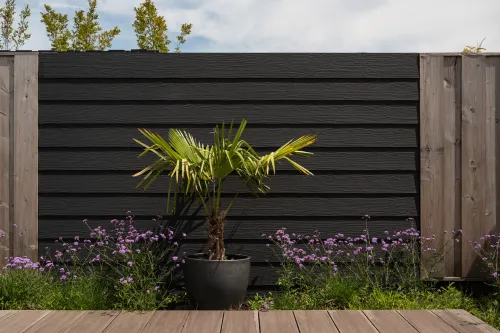 Cementvezel Plank Houtlook Antraciet 300x20x0