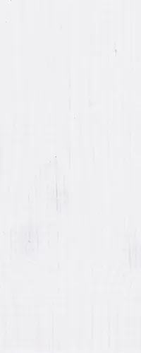 Carefree Protect Wit 2