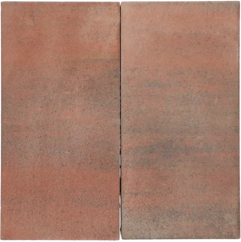 Tremico Oud Bont 30x60x6cm-Betontegel met een deklaag